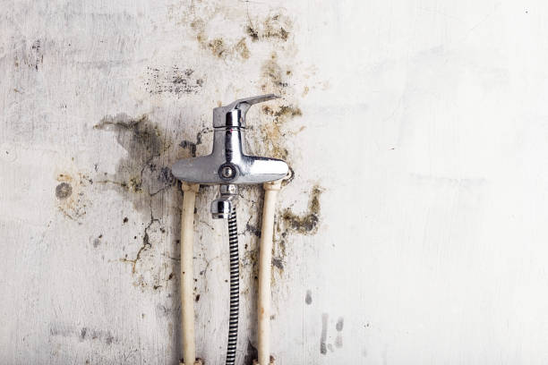 Water Damage Restoration in Burkburnett, TX