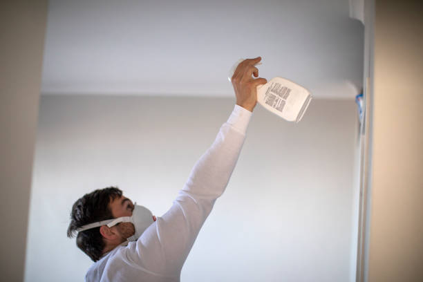 Best Home Mold Removal  in Burkburnett, TX