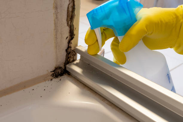Best Mold Testing  in Burkburnett, TX