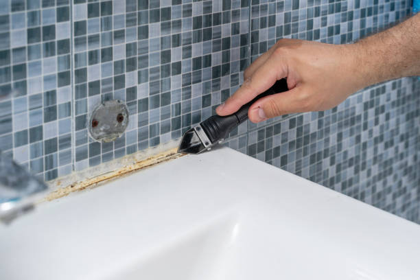 Best Mold Testing  in Burkburnett, TX