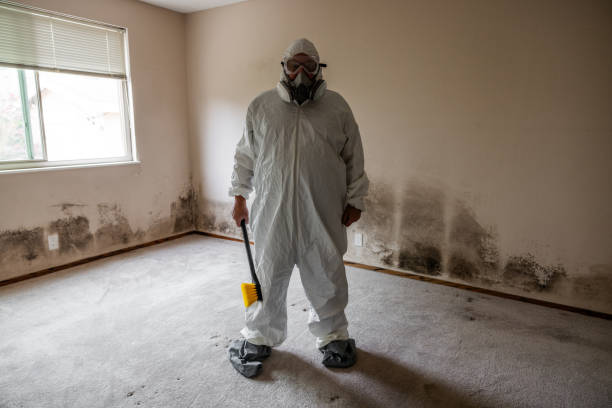 Best Mold Testing  in Burkburnett, TX